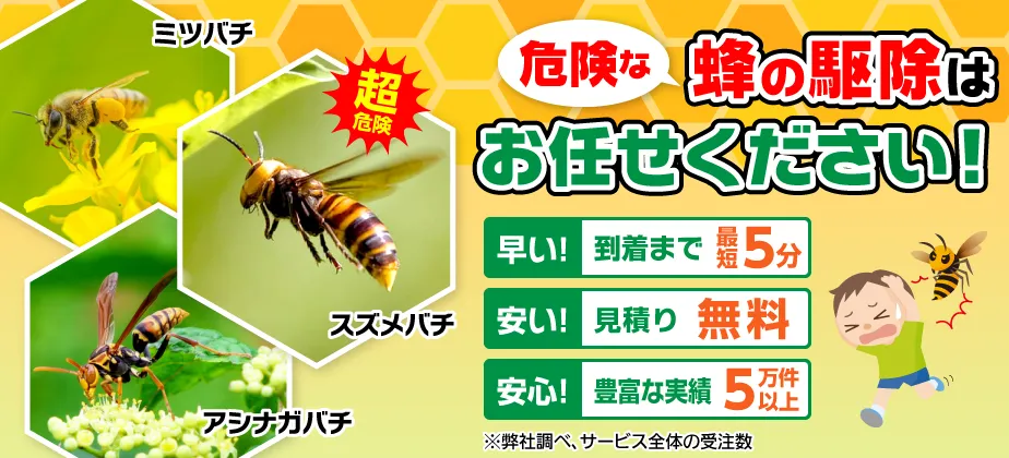 危険な蜂の駆除はお任せください！到着まで最短5分、見積もり無料、実績5万件以上！